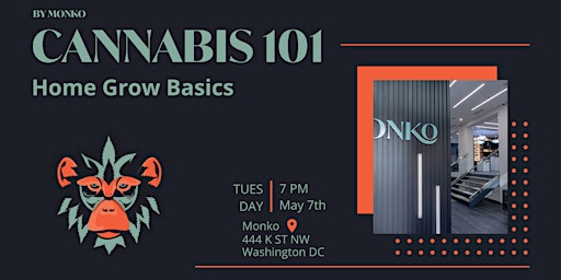 Imagem principal de Cannabis 101: Home Grow Basics