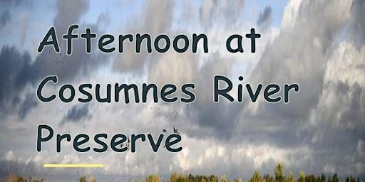 Imagen principal de LO Sacramento-CV | Afternoon At Cosumnes River Preserve