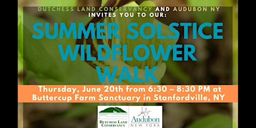 Imagen principal de Solstice Wildflower Walk