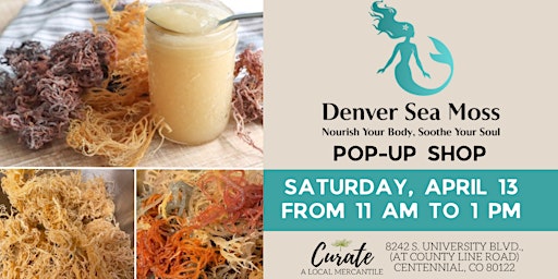 Nourish Your Body & Soothe Your Soul w/ Denver Sea Moss primary image