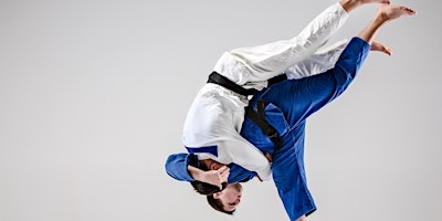 Olympic Judo primary image