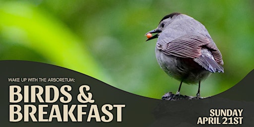 Wake Up With the Arboretum: Birds & Breakfast primary image