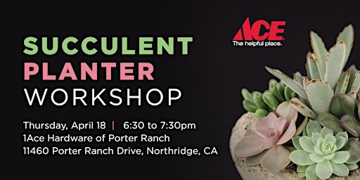 Imagem principal de Succulent Planter Workshop