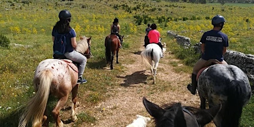 Immagine principale di Matera Sunset HorseBack Riding Tour on Murgia Park 