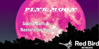 Imagem principal do evento Pink Moon Sound Bath & Restorative Yoga Session