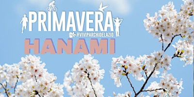 Imagem principal do evento Hanami  - Secondo turno