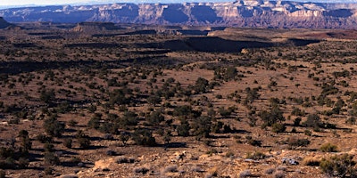 Imagen principal de Science and Management of Pinyon and Juniper Ecosystems Workshop Day 1