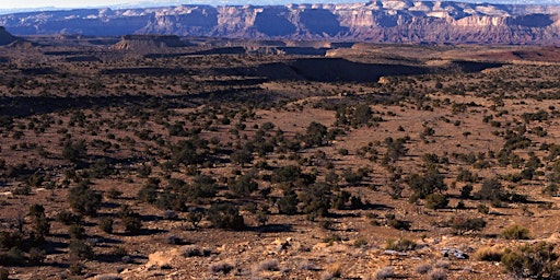 Science and Management of Pinyon and Juniper Ecosystems Workshop Day 1  primärbild