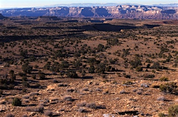 Science and Management of Pinyon and Juniper Ecosystems Workshop Day 2