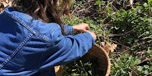 Kitchen Medicine : Spring Greens + Roots Herbal Workshop primary image