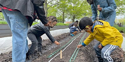 Family Farm Volunteer Day at The Battery Urban Farm: May primary image