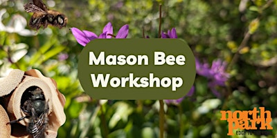 Mason Bee Workshop primary image