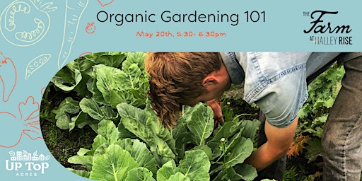Imagem principal do evento Organic Gardening 101
