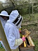 Tyneside Beekeepers Association's Logo