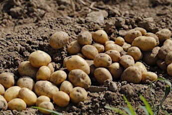 GMRI Educator Workshop: Potato Farming in Maine's Changing Climate