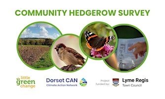 Imagem principal do evento Lyme Regis community hedgerow survey