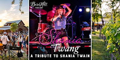 Imagem principal do evento Shania Twain covered by Shania Twang/ Texas wine / Anna, TX