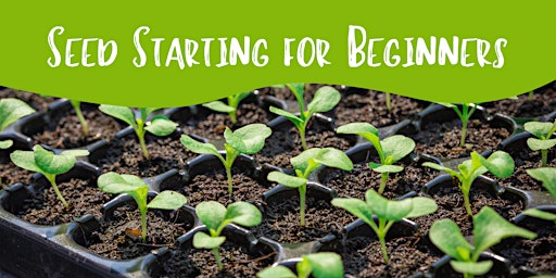 Seed Starting for Beginners primary image