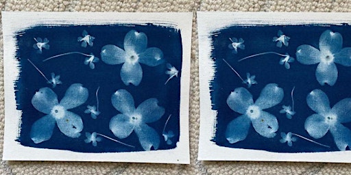 Botanical Cyanotype -- View Description to Buy Tickets primary image