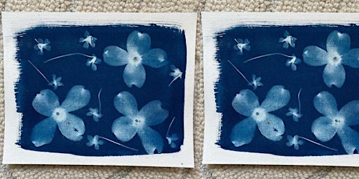 Botanical Cyanotype primary image