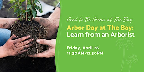 Arbor Day at The Bay: Learn from an Arborist