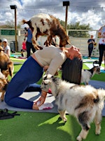 Immagine principale di Goat Yoga Houston At White Rhino Saturday May 18th 10AM 
