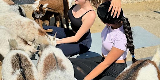 Primaire afbeelding van Goat Yoga Houston At White Rhino Saturday May 18th 11AM