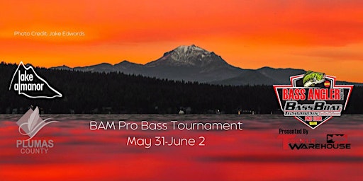 Immagine principale di BAM Pro Bass Tournament 
