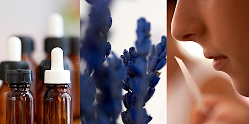 Image principale de Discover the Power of Scent in Pratt SCPS Perfumery Courses!