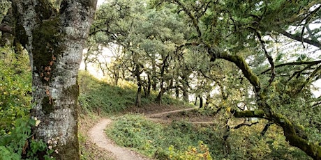 Hike at Windy Hill primary image