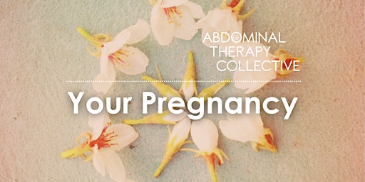 Imagem principal do evento Your Pregnancy