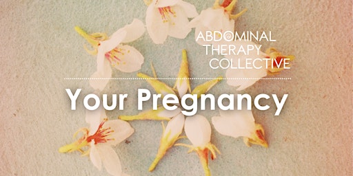 Immagine principale di Your Pregnancy 