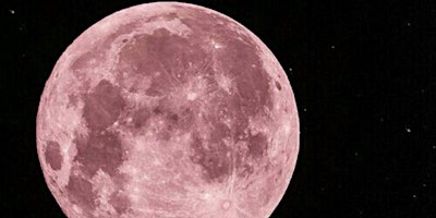 Hauptbild für Enchanted Evening :Pink Moon Love Vibes Spell and Sound