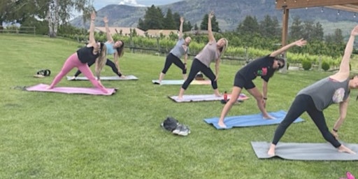 Imagem principal de Yoga + Wine at Hard Row to Hoe Vineyards