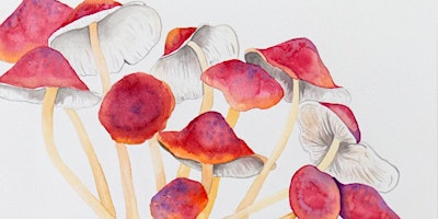 Watercolor Painting Mushrooms with Amanda  primärbild