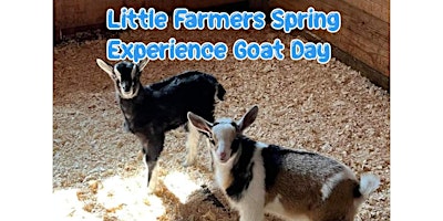 Primaire afbeelding van Little Farmers Spring Experience Goat Day