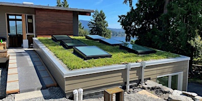 Hauptbild für Green Roofs Unveiled
