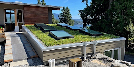 Imagen principal de Green Roofs Unveiled