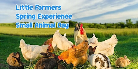 Little Farmers Spring Experience Small Animal Day