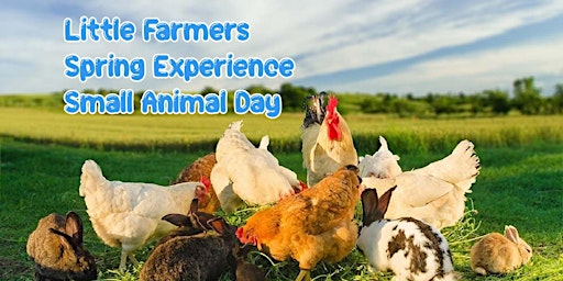 Imagem principal do evento Little Farmers Spring Experience Small Animal Day