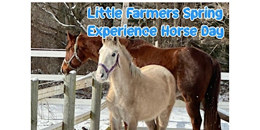 Immagine principale di Little Farmers Spring Experience Horse Day 