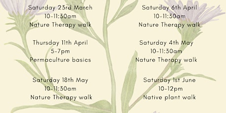 Nature therapy gathering - Beacon Hill Park