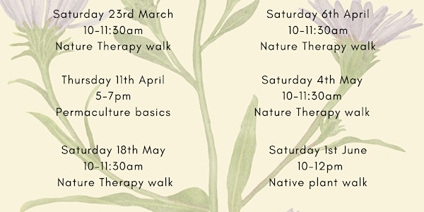 Nature therapy gathering - Mt Tolmie