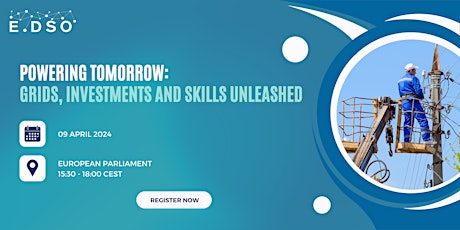 Powering Tomorrow: Grids, Investments, and Skills Unleashed primary image