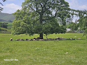 Agroforestry Open Weekend at Glensaugh