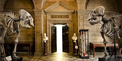 Anatomical Museum Public Open Day, Saturday 27th April 2024 primary image