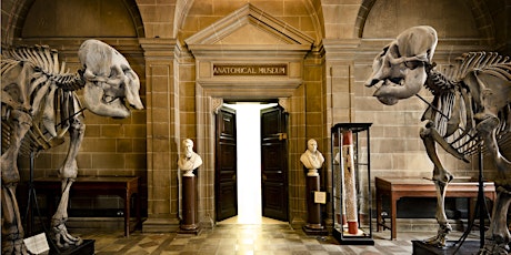Anatomical Museum Public Open Day, Saturday 27th April 2024