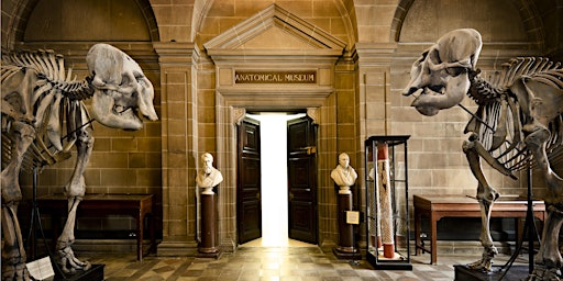 Anatomical Museum Public Open Day, Saturday 27th April 2024  primärbild
