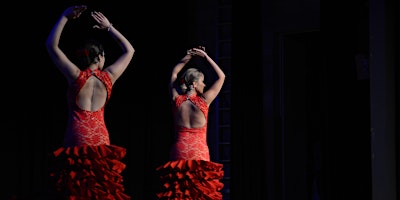 Image principale de Flamenco & Dinner