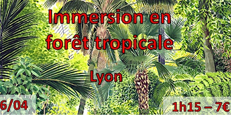 Immersion en forêt tropicale humide à Lyon Samedi 6 Avril après-midi